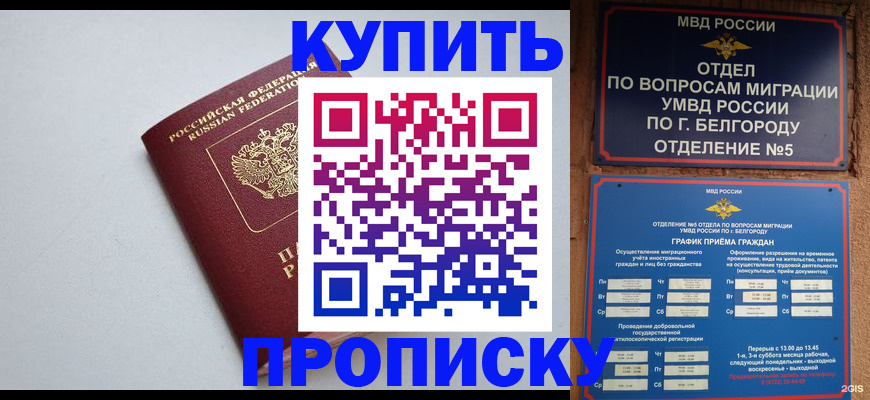 прописка регистрация в Белой Холунице